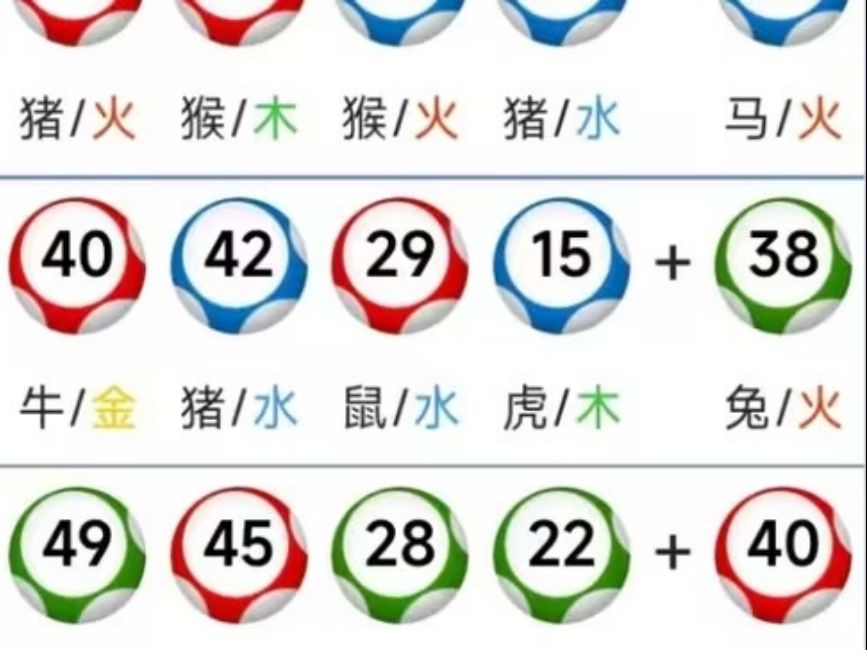 新澳2024年今晚精准一肖一码