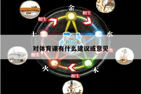 对体育课有什么建议或意见