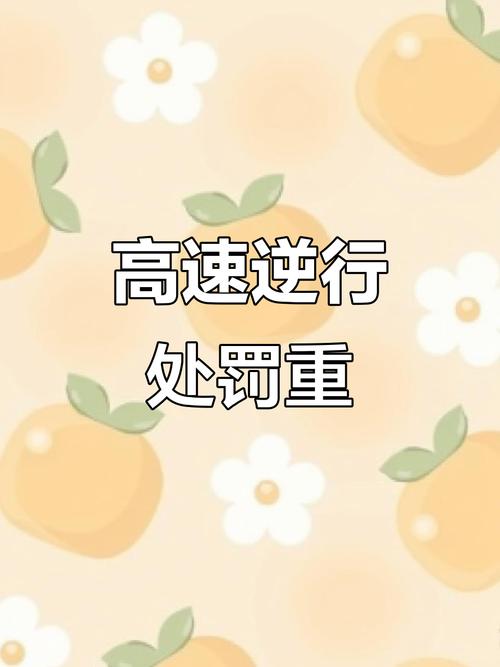 admin 第85页